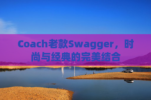 Coach老款Swagger，时尚与经典的完美结合